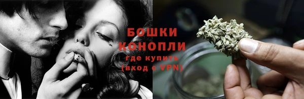 трава Белокуриха