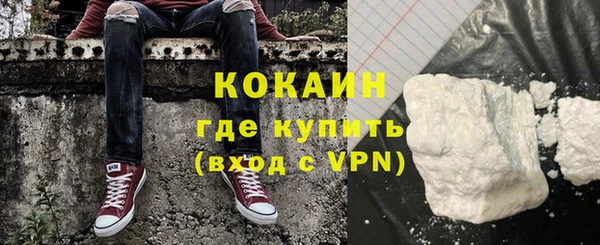 трава Белокуриха