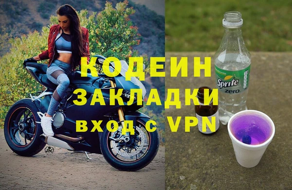 трава Белокуриха