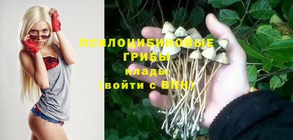 трава Белокуриха