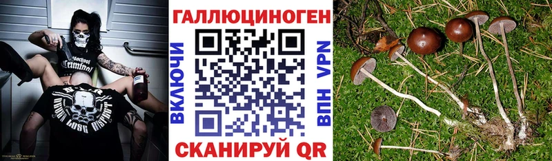 Купить закладки  Нефтегорск  Псилоцибиновые грибы MAGIC MUSHROOMS 